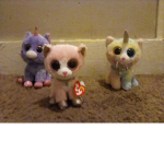 Meow fans