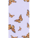 XXX_butterfly