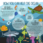 Save The Oceans