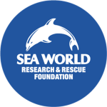Sea World Research & Rescue Foundation