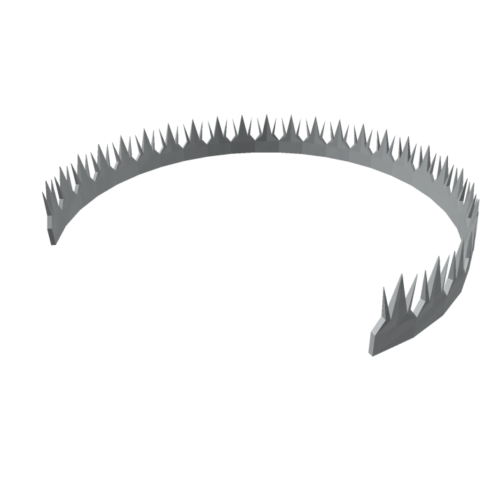 Silver Tiara