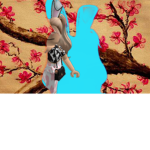 Blossom._.Vibes