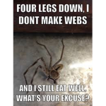 SpiderzLvs