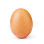 2019 Dab Egg