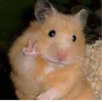 epic ratss