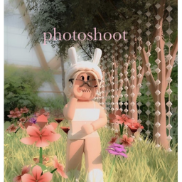 photo shoot