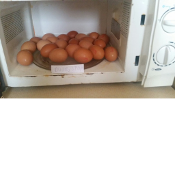 eggs.png