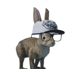 Ⅱ‑Ⅴ‑Ⅱ