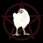 The Chicken Appreciation Society