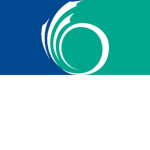 [CAN] Ottawa City Council
