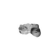 Ensenǎda.