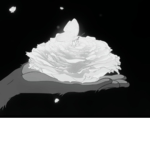 NightlyRoses