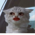 MAYARYAggnn