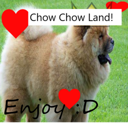 Chow Chow land!