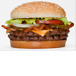 Obby into BURGER
