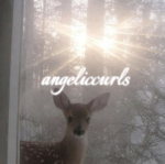 angeliccurls