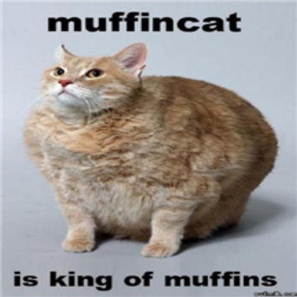 The Muffin Cat Roblox decal