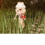 Sophia's Teddy Bears