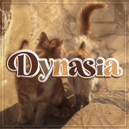 Custom Event Place
