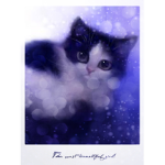 Kitties! :)
