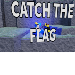 catch the flag (NEW)!!!