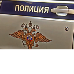 Тренировка МВД КРРП