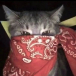 GangViolence
