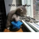 ROBLOX Pwnage