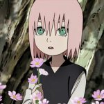 Sakura supremacy…