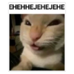 CarMemeUGCs