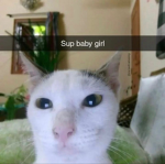 Maxx's UGC