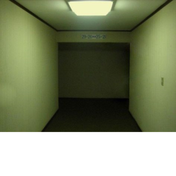 the backroom