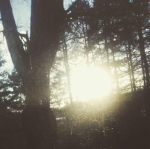 .PR1S0N.