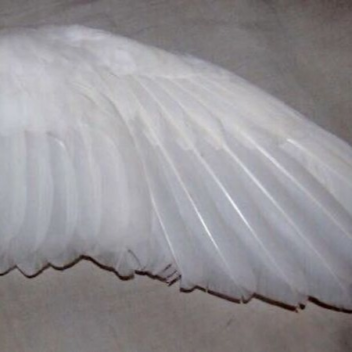 ︵‿୨♡୧‿︵