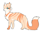 SunsetLily