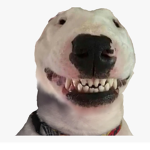 Grupo da Mimi