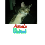 Animals United :D
