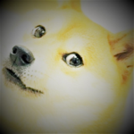 Doges forever and ever