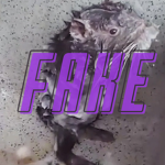 FAKE_FAKE