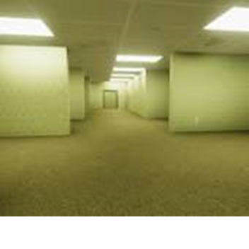 [UPDATE!] Shrek in the Backrooms but bad.....