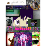 Fans de roblx