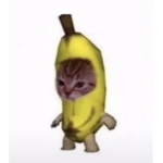 8addychi11