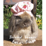 Beloved Bunnies