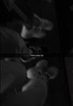 *~SHOOTING ST4RS~*