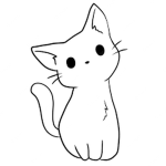 Awesome cat club