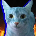 Bluecat Bros UNITED