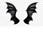 Black CN Dragon