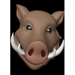 Big Nose Fan Group