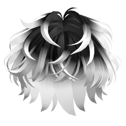 Messy Fluffy Cool Boy Hair Black to White Roblox item