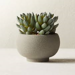 Potted Family